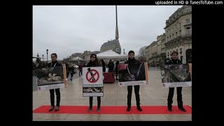 Click here to play the video