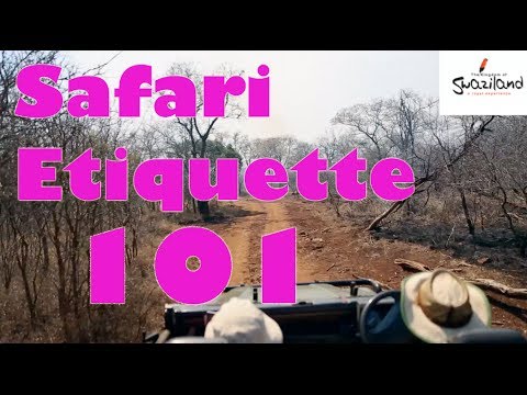 Safari Adventures - Afrique PC