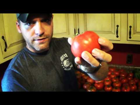 download lagu mp3 mp4 Best Time Of Day To Pick Tomatoes, download lagu Best Time Of Day To Pick Tomatoes gratis, unduh video klip Best Time Of Day To Pick Tomatoes
