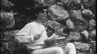 The Fleshtones - Beautiful Light