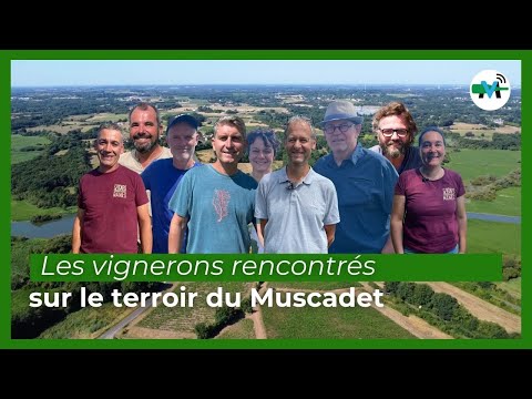 À la rencontre des vignerons du Muscadet