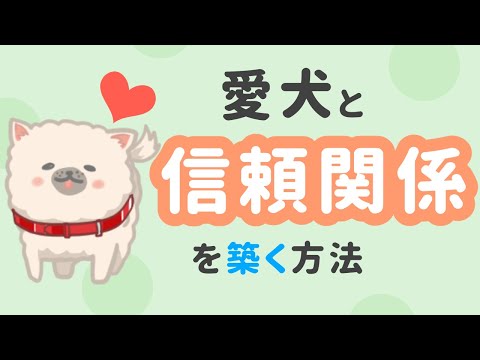 犬の信頼を得る方法