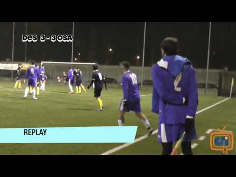 Sintesi Desiano - Sds Arcobaleno