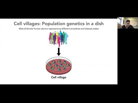 Michael Wells: Gene expression & viral susceptibility variation revealed by progenitor cell villages