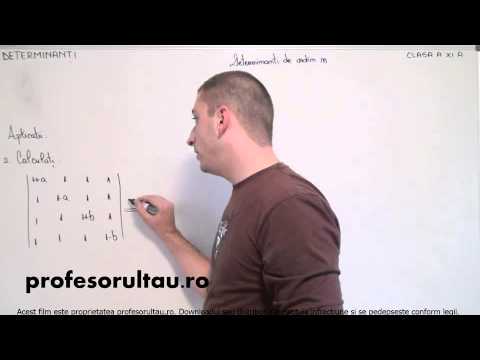 09   cls11   Determinanti   determinanti de ordin n   aplicatii   partea 2 - profesorultau.ro