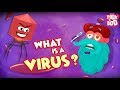 What Is A Virus ? | Best Learning Videos For Kids | Dr Binocs | Peekaboo Kidz