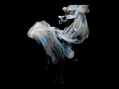 Picture Projekt - Macrofotografie unter Wasser