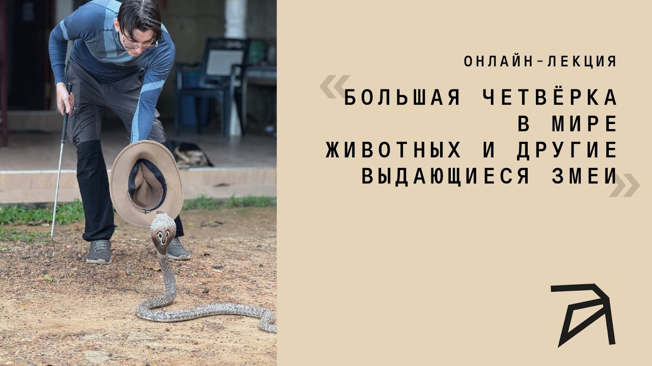 Большая четверка в мире животных и другие выдающиеся змеи | Михаил Бережной