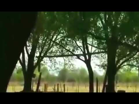 AMAZING UFO SIGHTING # 645