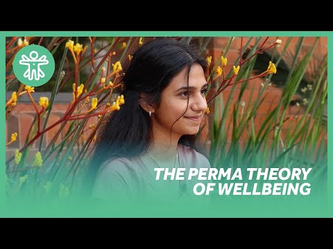 What is the PERMA theory of wellbeing?