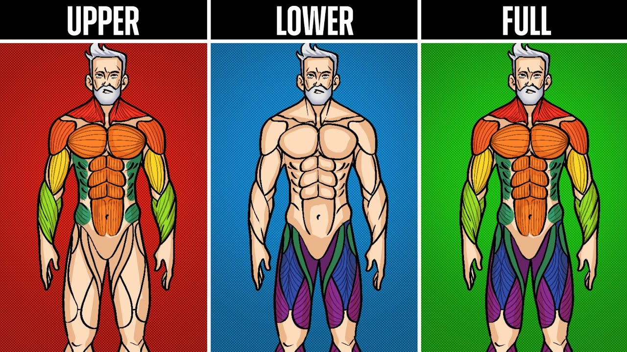 3 Workouts Splits GUARANTEED To Build Muscle (men over 40)