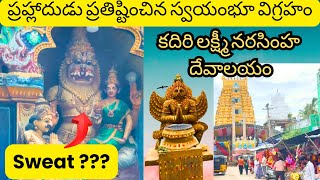 Temple video