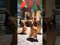 Shehzaadi Mariam Dance Dilbar Short