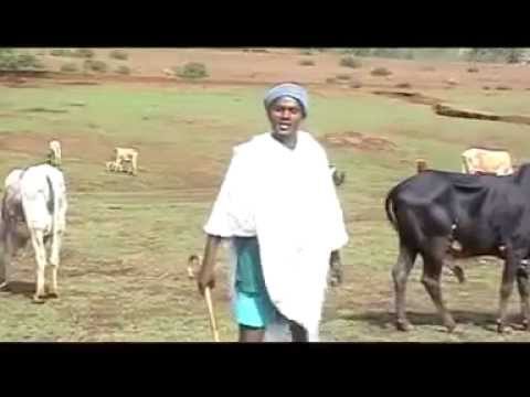 Best Gojjam Song of the Year- 2011 solomon Demissie
