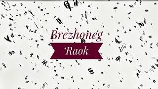 Dom DufF - Brezhoneg 'Raok - Alan Stivell cover (lyrics video)