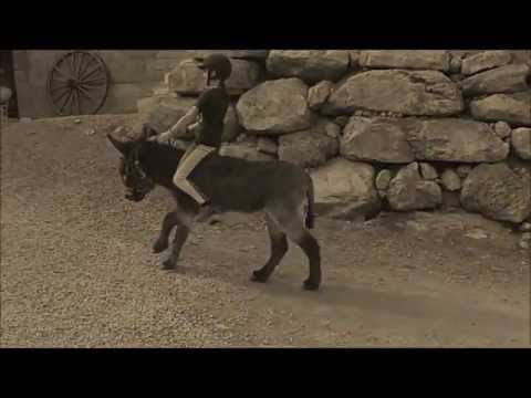 Can't Hold Us, Basile.