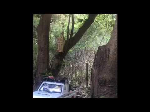 HPI venture and SCX10 lc70