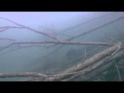 129 Fohlengarten 24-08-14