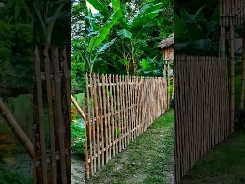 #treehouse #shorts #trending #tree #pasoori #sanjib #house #iskcon #mayapur #travel#sanjib with life