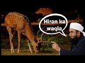 ️story Of Deer By Molana Tariq Jameel