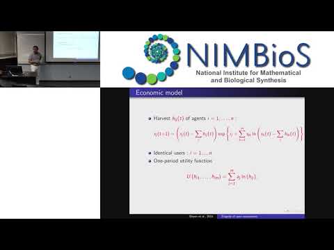 Tragedy of open ecosystems