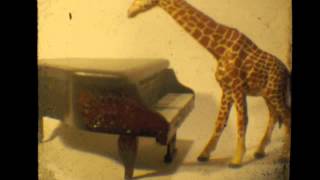 Tell Your Story Walking