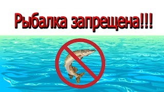 Законы о рыбалки в краснодарском крае
