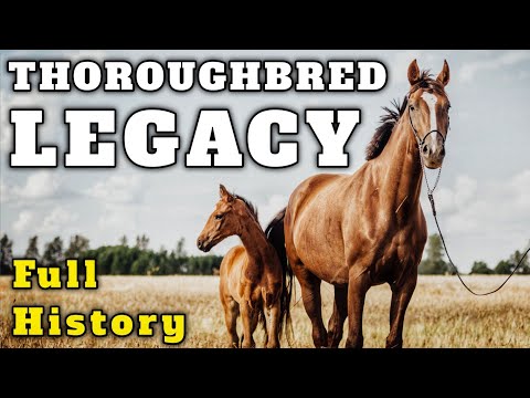 The History of Thoroughbred Horses: Speed Power and Prestige #horseracing  #darleyarabian #horse