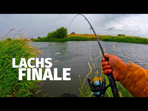 DIESMAL MUSS ES KLAPPEN - Das LACHSTAGEBUCH mit JÖRG OVENS - 'Fang mal was' (30)