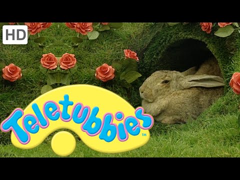 Teletubbies: Rabbits - Full Episode