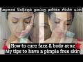 Tips To Cure Face Body Acne முகப்பரு நீங்க எளிய வழி Oneprodu