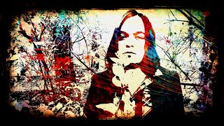 The Colored Parade - I&#39;m Indestructible (album verison)