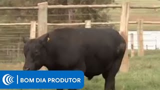 Miniatura do vídeo