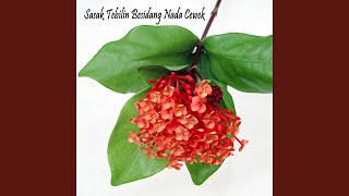 Download lagu Sasak Tebilin Besidang Nada Cewek mp3 Download lagu Sasak Tebilin Besidang Nada Cewek mp3