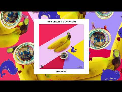 Roy Orion & Blackcode - Nirvana