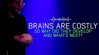 Liquid brains and mapping the cognitive space with Ricard Solé