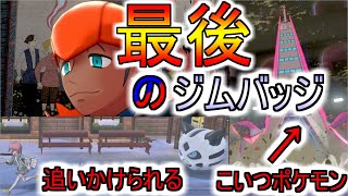 【ポケモン剣盾】このゲーム素晴らしい‼全部わかってるねオレでなきゃ見逃しちゃうね好き大好きあ～ダッチ