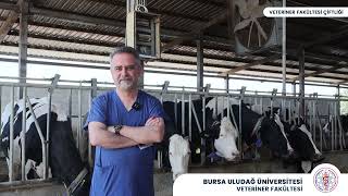 Hayvan Sağlığı ve Hayvansal Üretim Araştırma Uygulama Merkezi