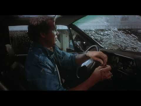 Modern Problems (1981) Ken Shapiro