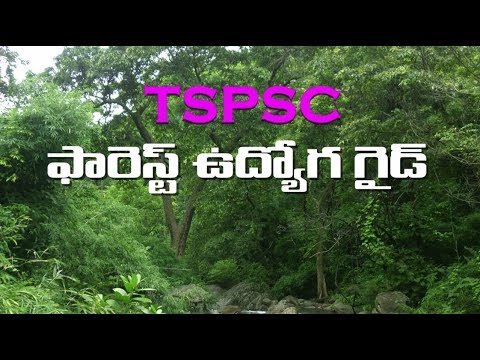 T-SAT || FOREST UDYOGA GUIDE || Salient Features Of Indian Constitution - P2  || Deepika Reddy