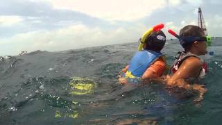 Team Neal IOP Snorkle Trip