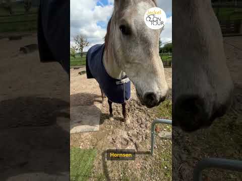 Jockel on Tour. Fahrradabenteuer durch Lamspringe - Erkunde unsere idyllische Gemeinde!