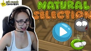 Natural Selection - Comer uma mosquinha