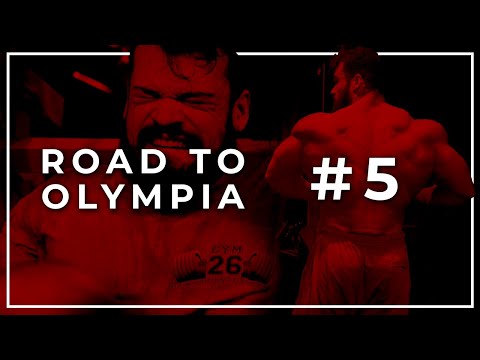 RÜCKENTRAINING und kleines FORMUPDATE | Emir Omeragic & Johann Schatz | ROAD TO OLYMPIA #5