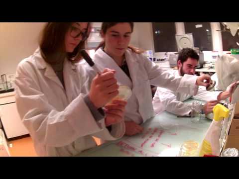YouTube video