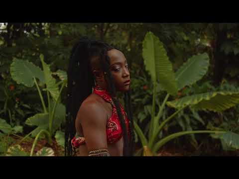 DeWun Music - Like You Love Me (Visualiser)