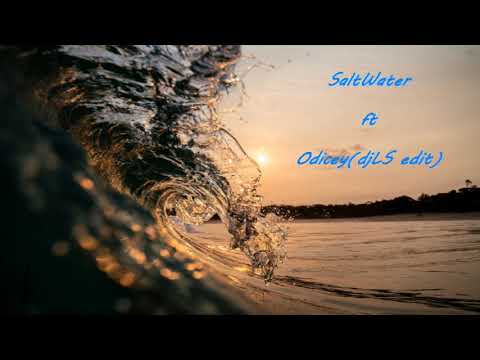 #chicane #moya_brennan #djLS Saltwater ft Odicey - djLS edit