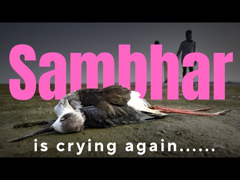 What is happening at Sambhar Lake, Rajasthan?