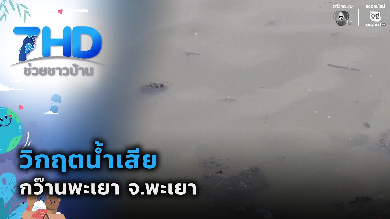 วิกฤตน้ำเสีย กว๊านพะเยา จ.พะเยา | 7 สีช่วยชาวบ้าน