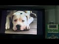 Opening To Disney S Herbie Rides Again 1993 Studio Film Collection VHS